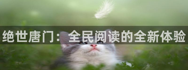 bl腐漫画网站：绝世唐门：全民阅读的全新体验