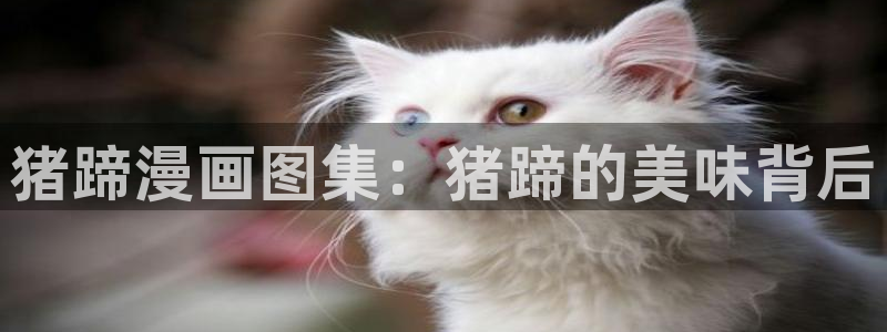 免费腐漫画网：猪蹄漫画图集：猪蹄的美味背后