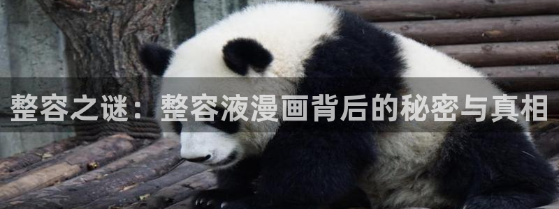 腐漫画网肉：整容之谜：整容液漫画背后的秘密与真相